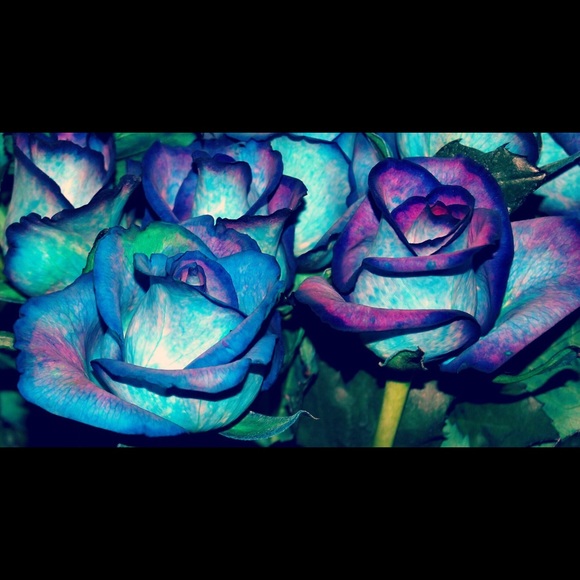 njh_love15